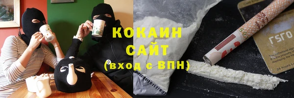 дживик Богородск