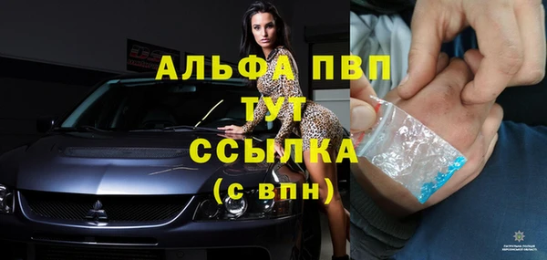 дживик Богородск