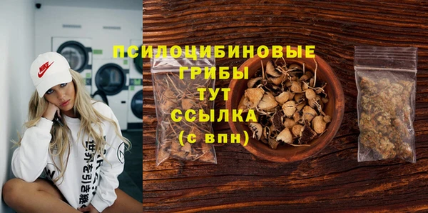 твердый Богородицк