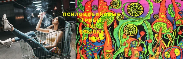 дживик Богородск