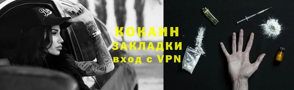 твердый Богородицк