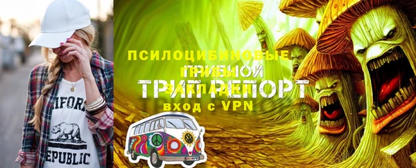 твердый Богородицк