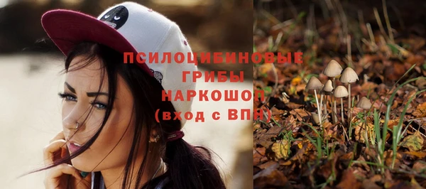 дживик Богородск