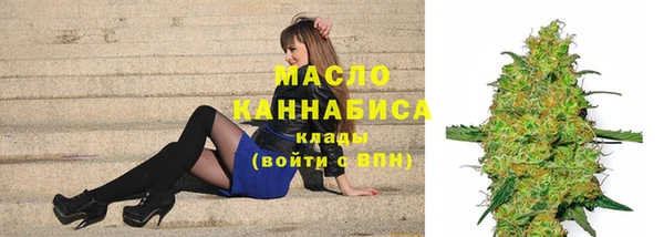 дживик Богородск