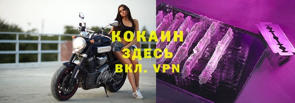 твердый Богородицк